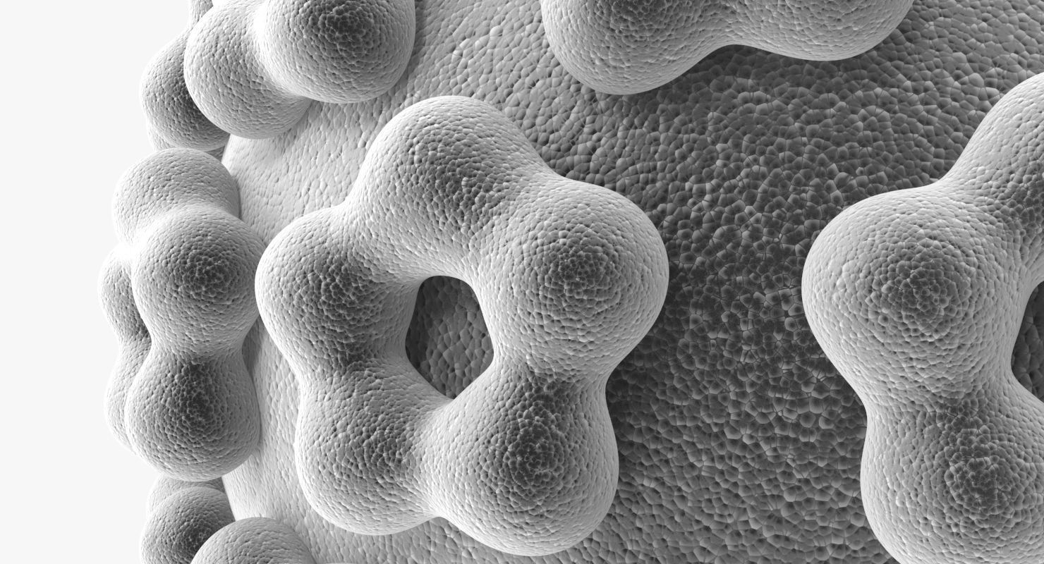 Human Papilloma Virus 3D model_1