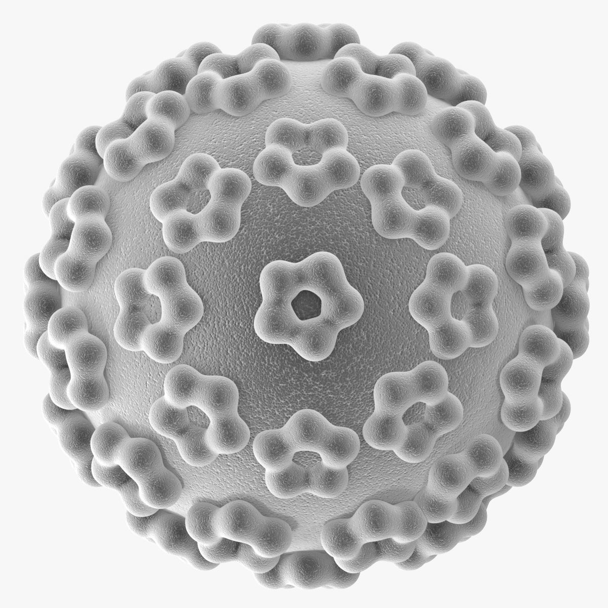 Human Papilloma Virus 3D model_2