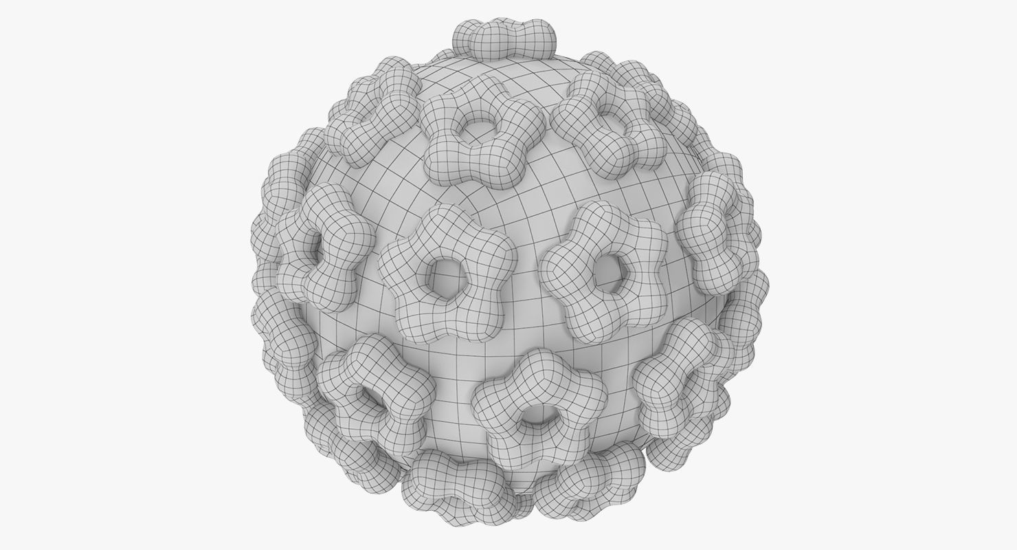 Human Papilloma Virus 3D model_6