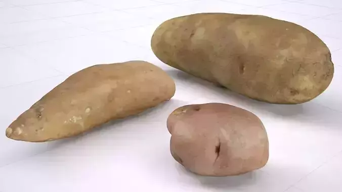 Potato pack- Russet yam and red potato- High resolution 3d scan 3D model