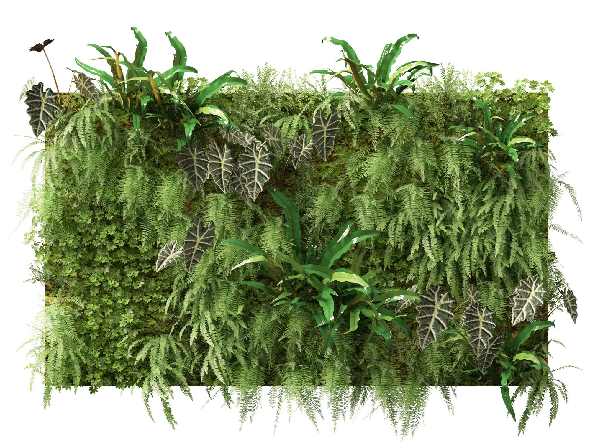 Vertical Garden - Wild Fern Moss Green Wall 3D model