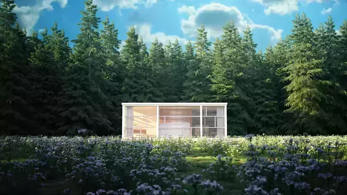 TINY HOUSE IN THE WOODS 3D model