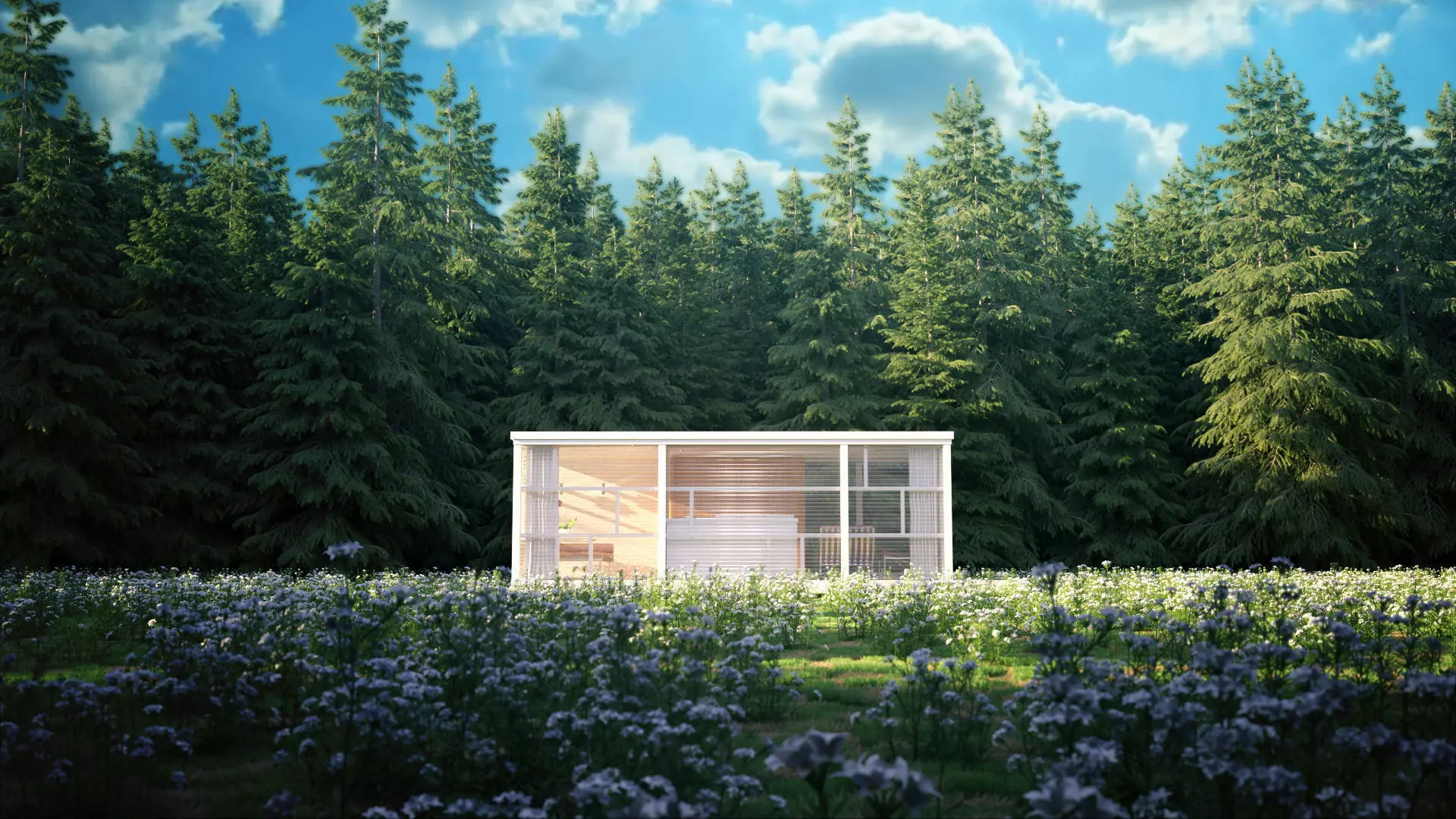 TINY HOUSE IN THE WOODS 3D model_0