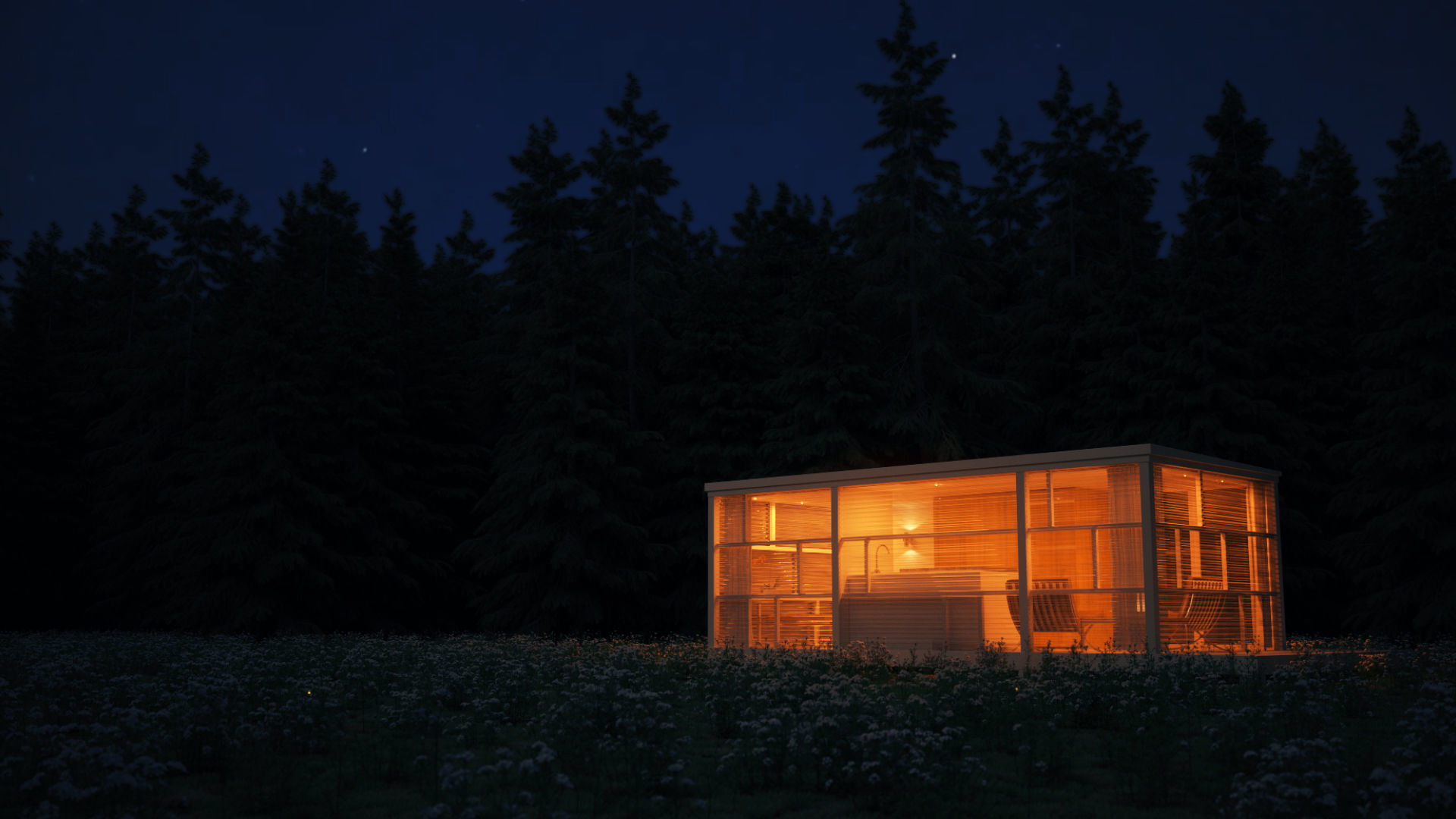 TINY HOUSE IN THE WOODS 3D model_3