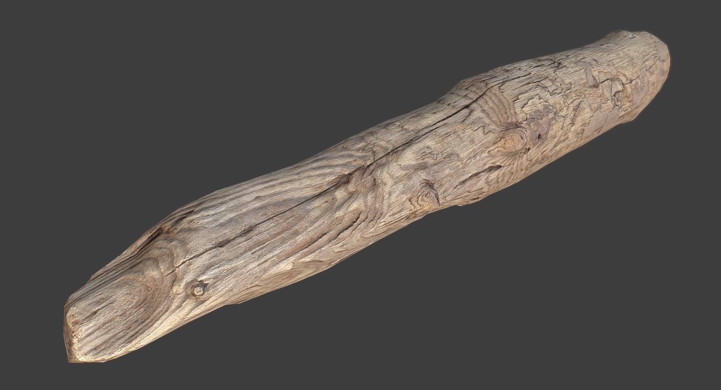 Wood Log Low-poly 3D model_11
