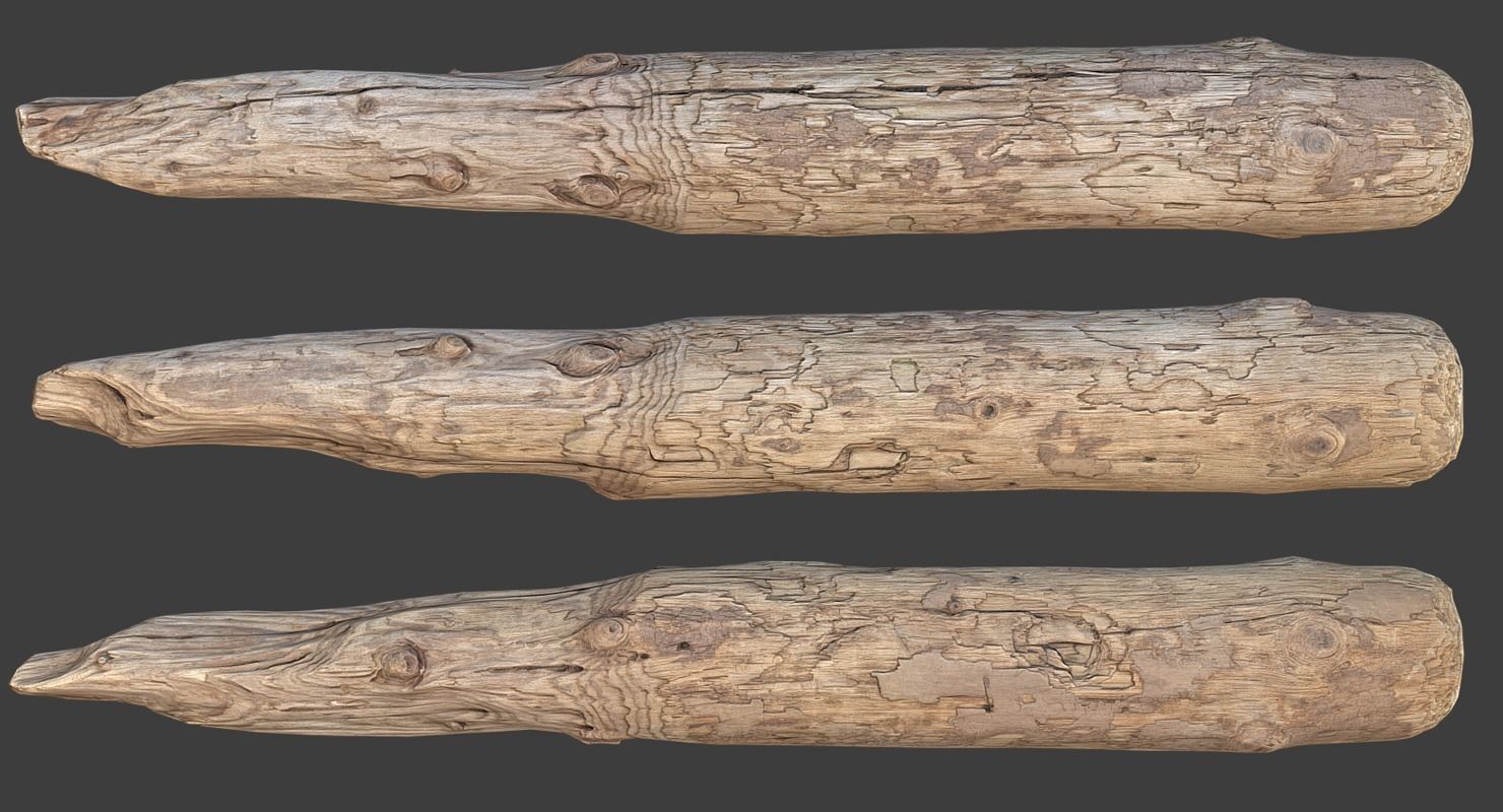 Wood Log Low-poly 3D model_0