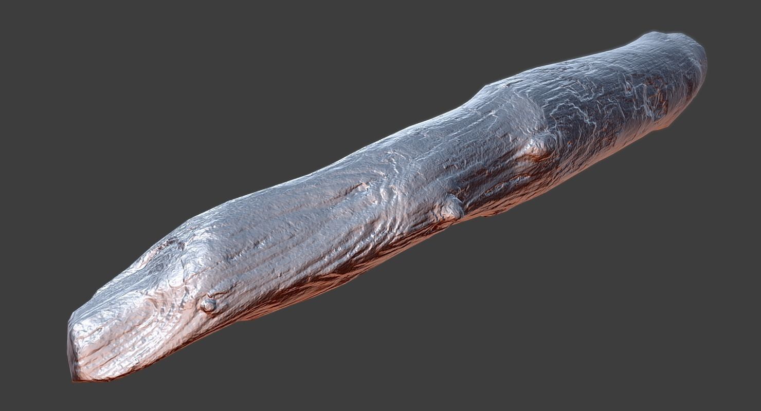 Wood Log Low-poly 3D model_14