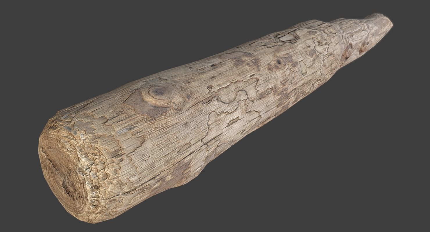 Wood Log Low-poly 3D model_6