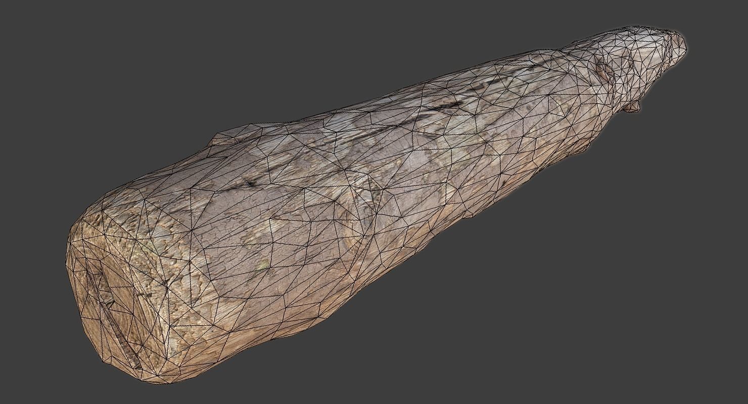 Wood Log Low-poly 3D model_2