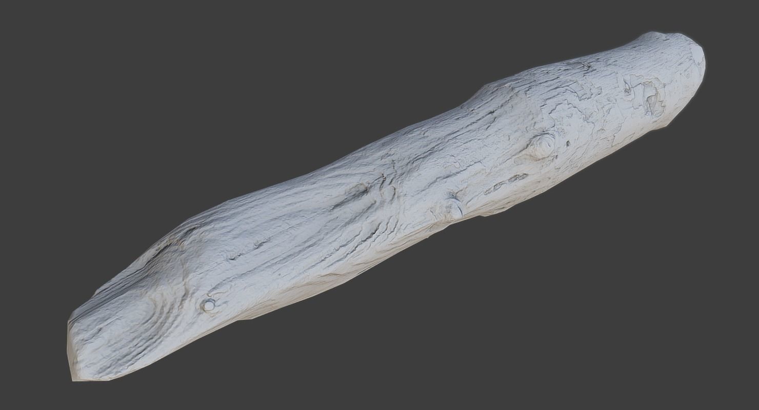 Wood Log Low-poly 3D model_15