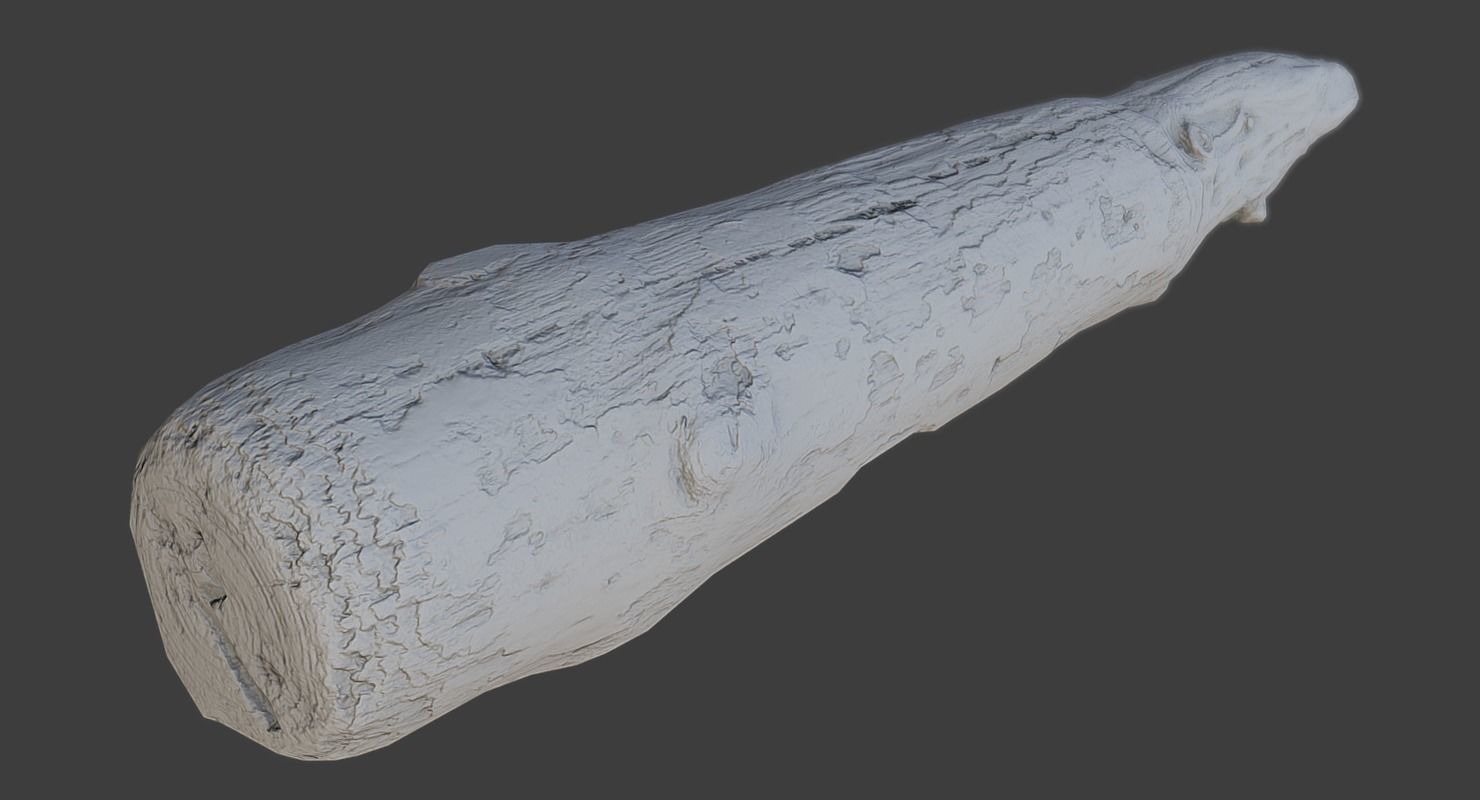 Wood Log Low-poly 3D model_5