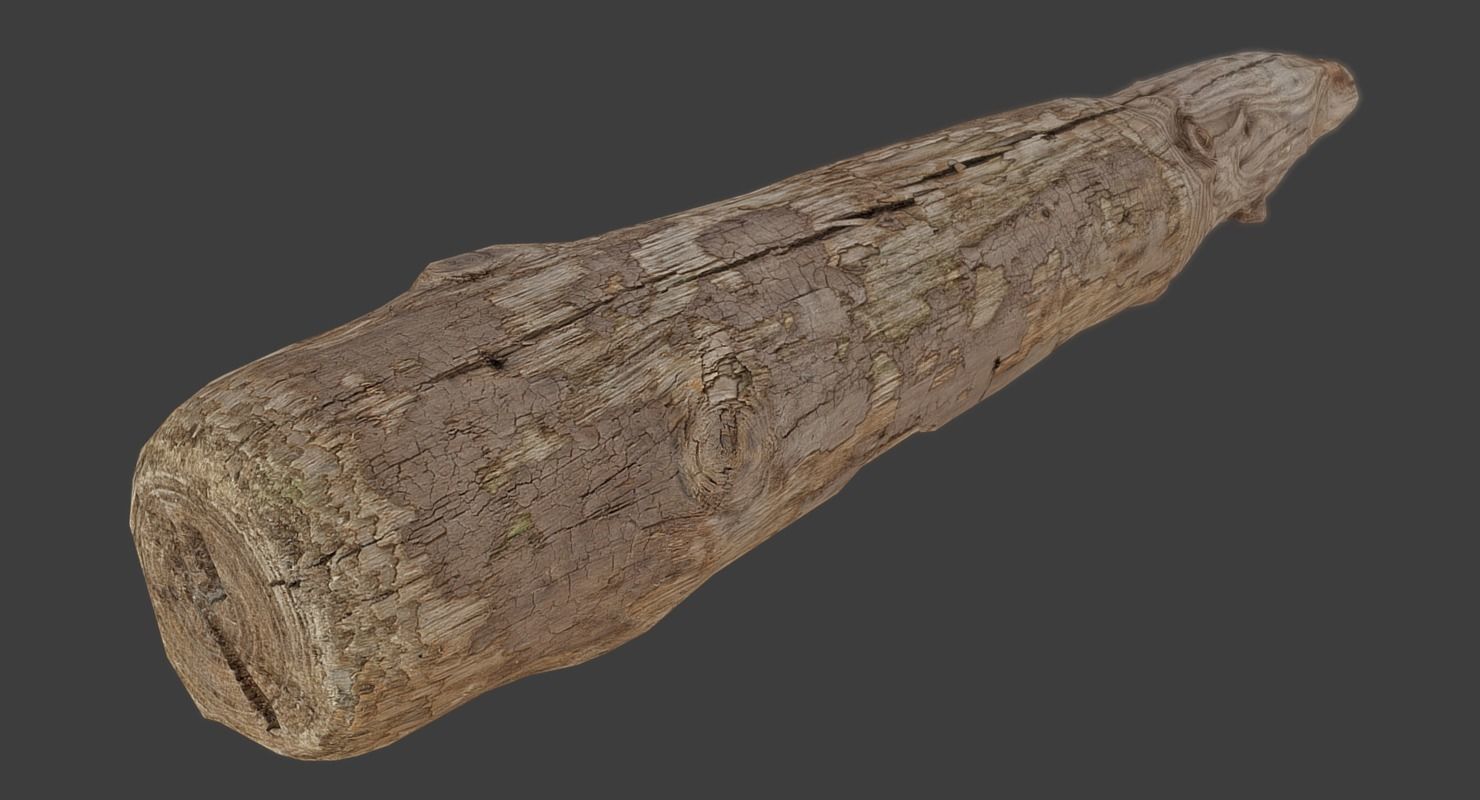 Wood Log Low-poly 3D model_3