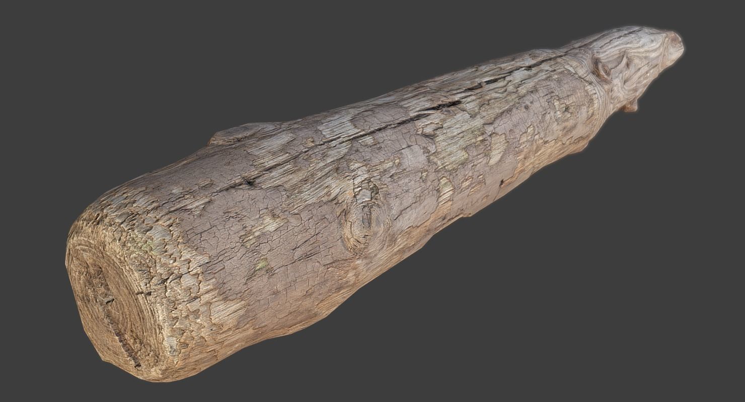 Wood Log Low-poly 3D model_1