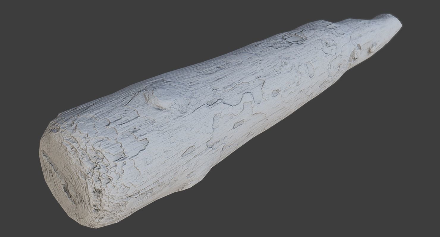 Wood Log Low-poly 3D model_10