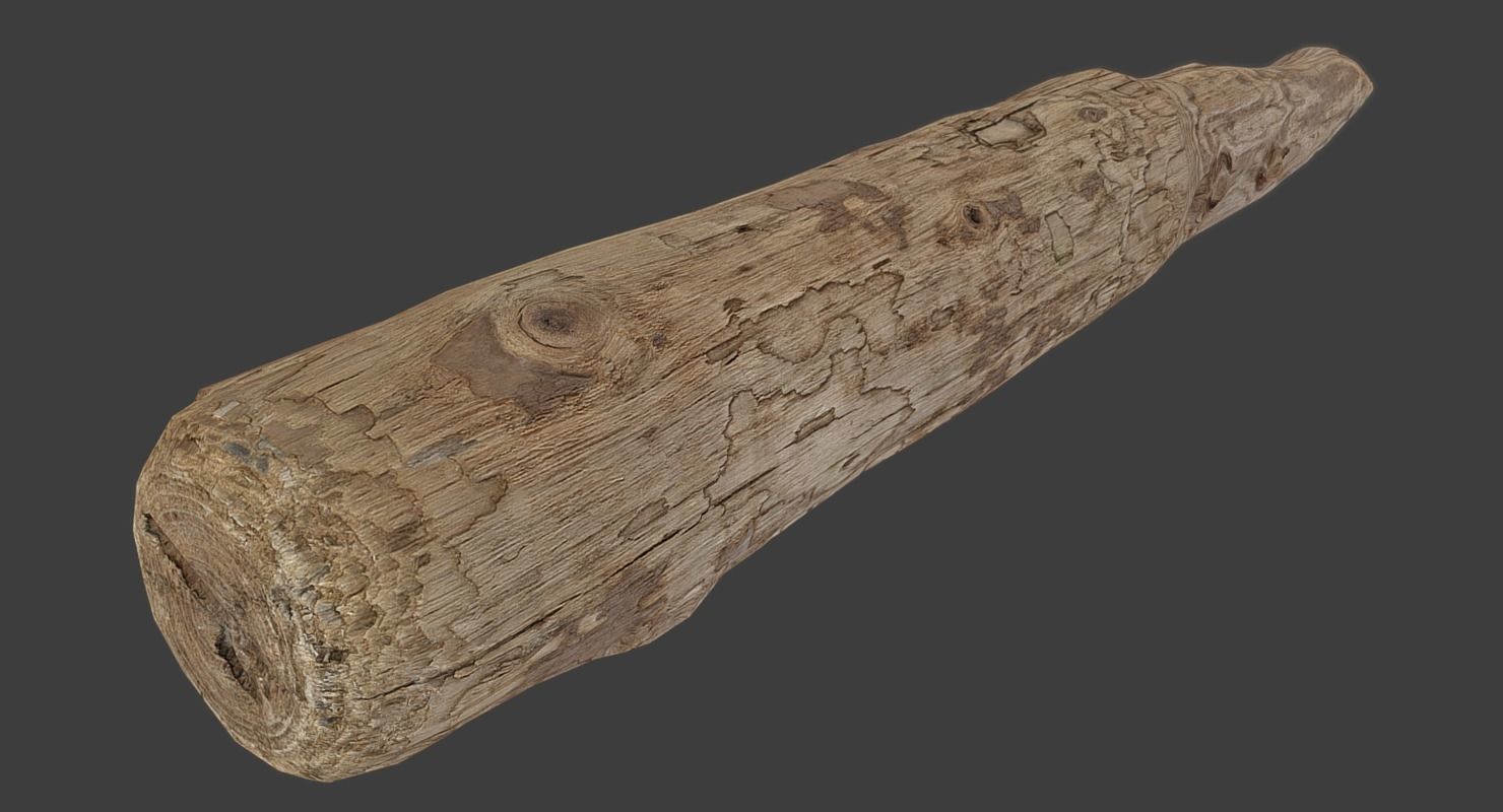 Wood Log Low-poly 3D model_8
