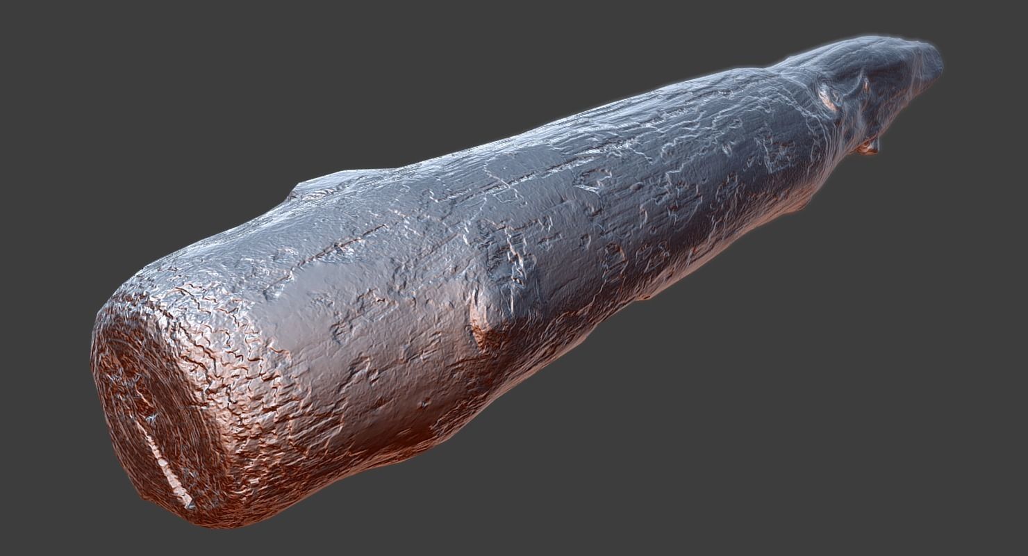 Wood Log Low-poly 3D model_4