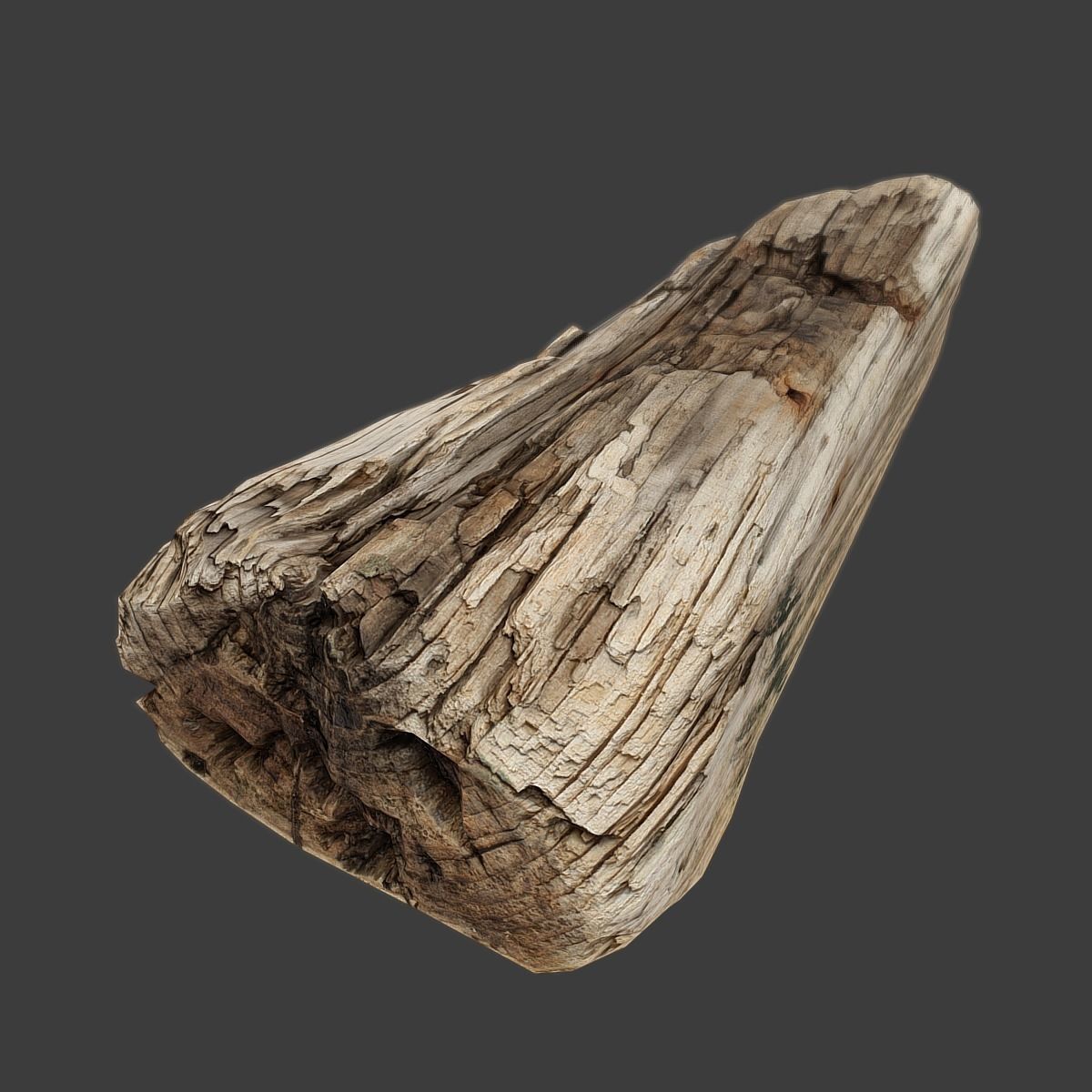 Wood Timber Rotten Debris Low-poly 3D model_2