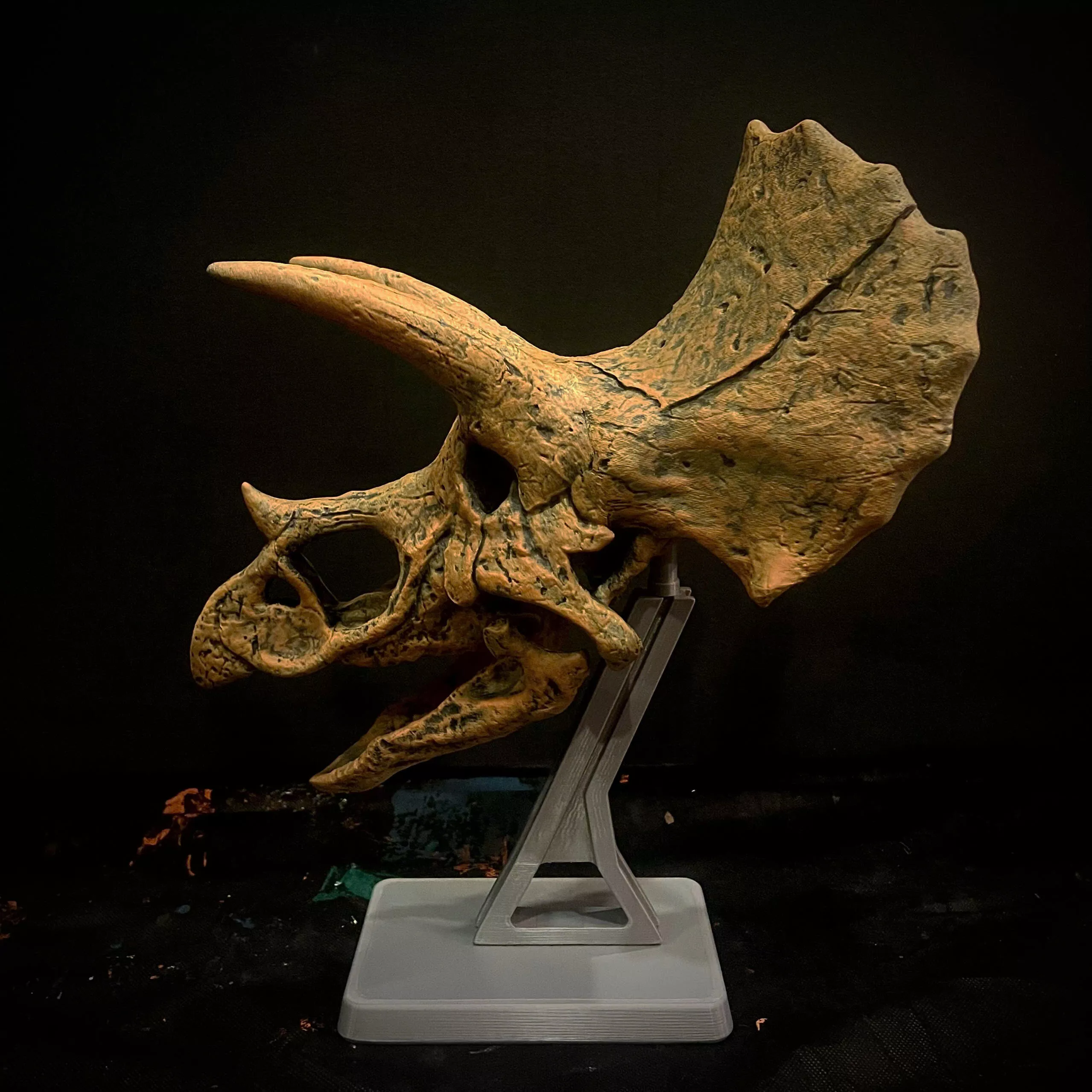 Triceratops Dinosaur Head Skull Moveable Jaw With Stand Base 3D print model