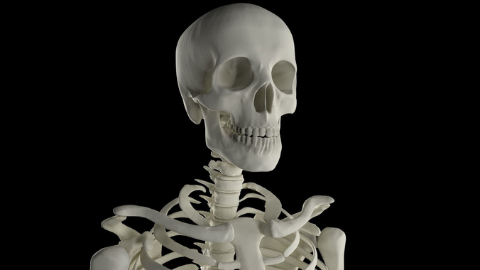 Midpoly Skeleton