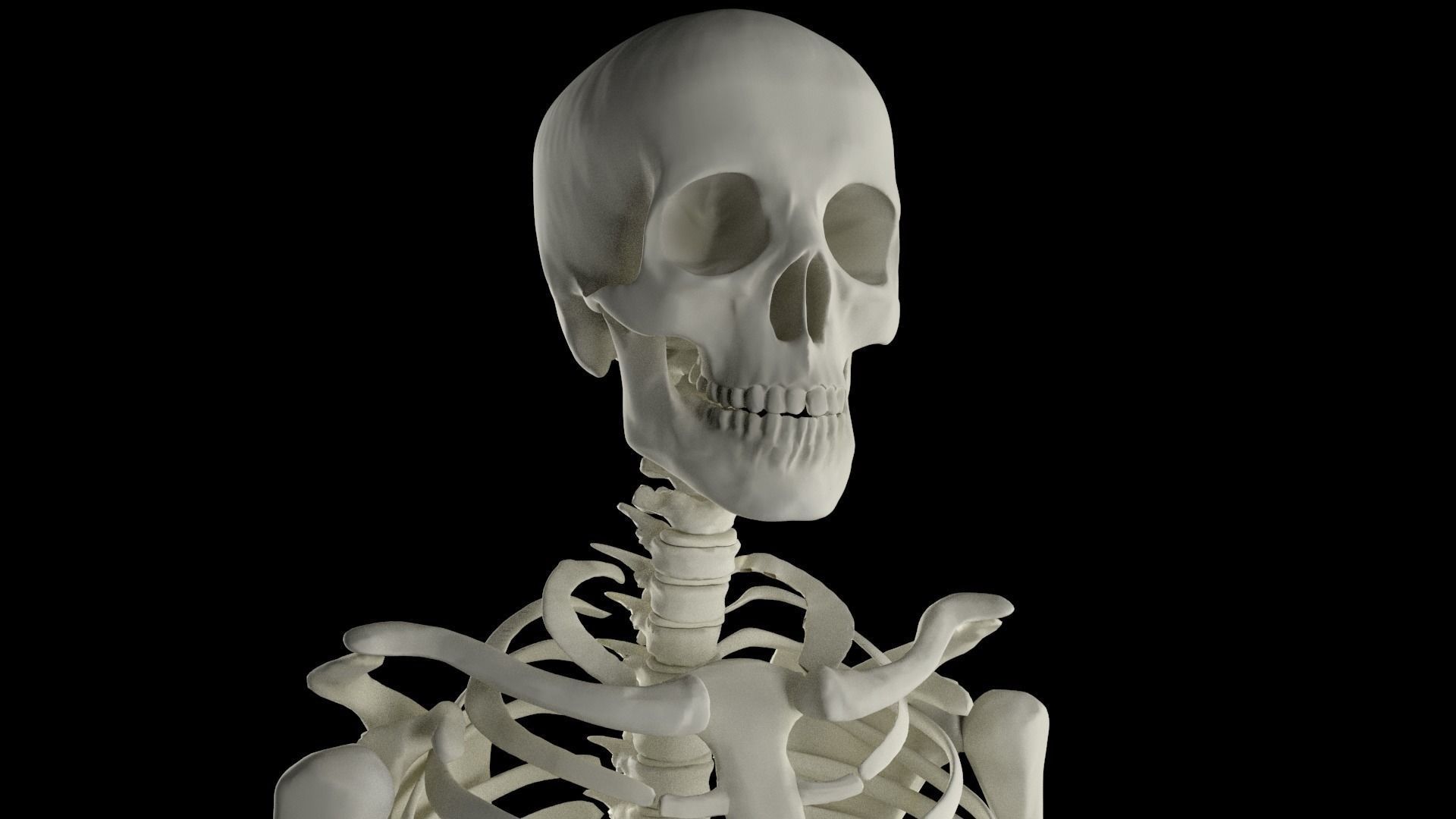 Midpoly Skeleton 3D model_0