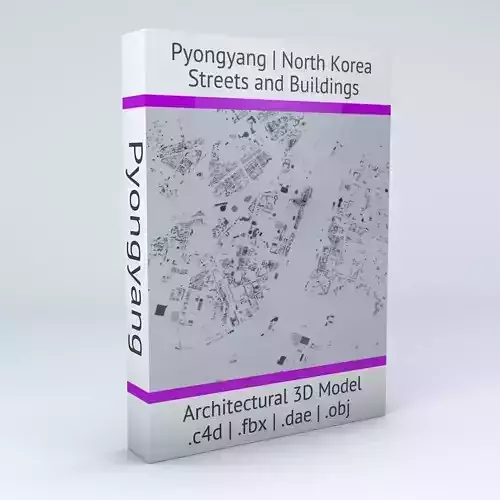 Pyongyang Downtown Area Streets and Buildings