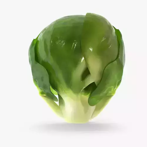  Brussel Sprout