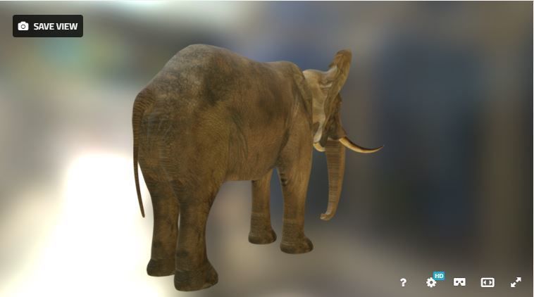 Elephant in environment Free low-poly 3D model_1