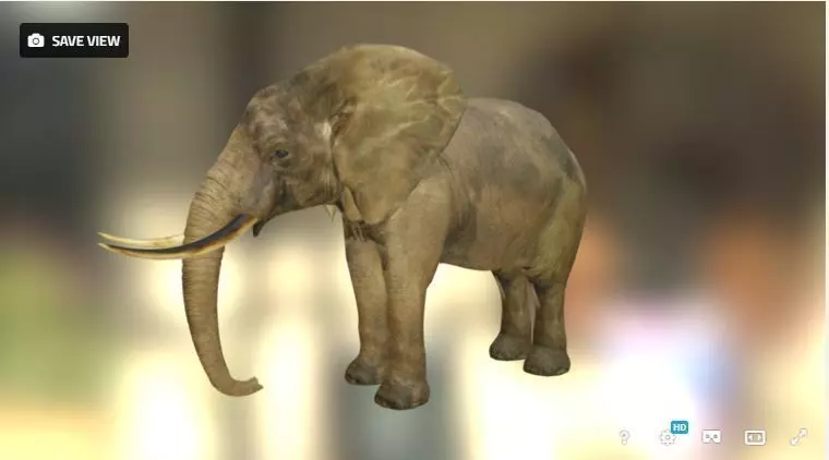 Elephant in environment Free low-poly 3D model_0