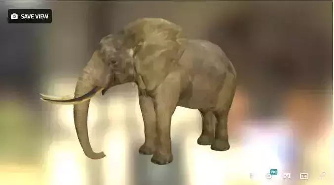Elephant in environment Free low-poly 3D model