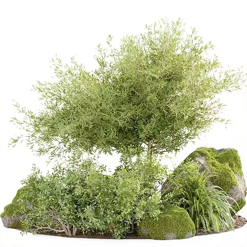 Outdoor Landscape Plants and Assets Bundle 3D model 7