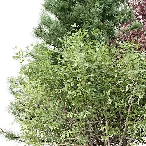 Outdoor Landscape Plants and Assets Bundle 3D model 5
