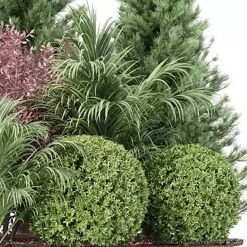 Outdoor Landscape Plants and Assets Bundle 3D model 3