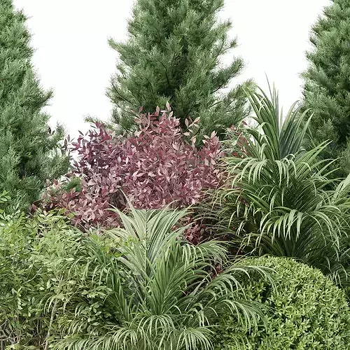 Outdoor Landscape Plants and Assets Bundle 3D model 4