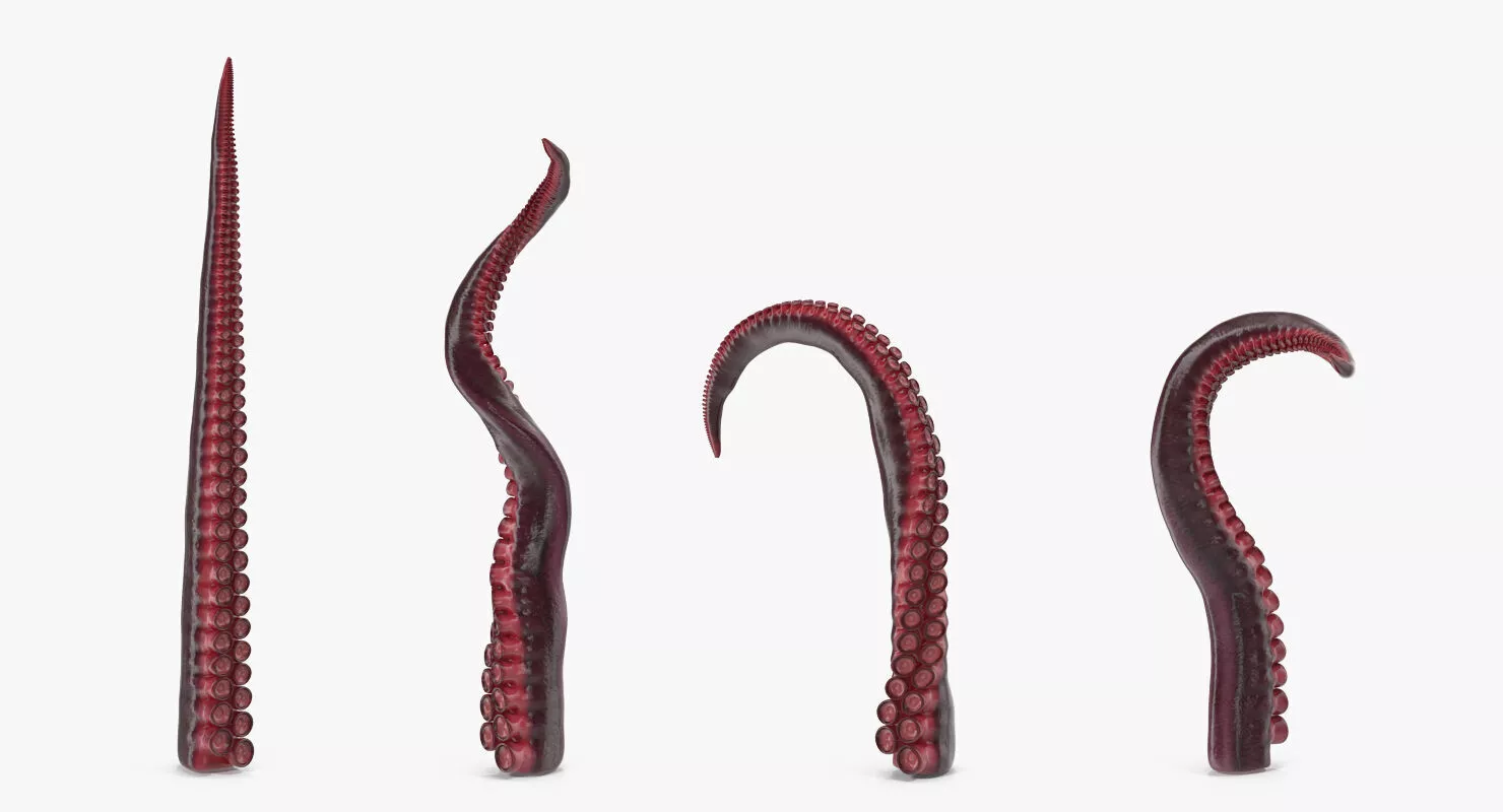 Octopus Tentacle Animated 3D model