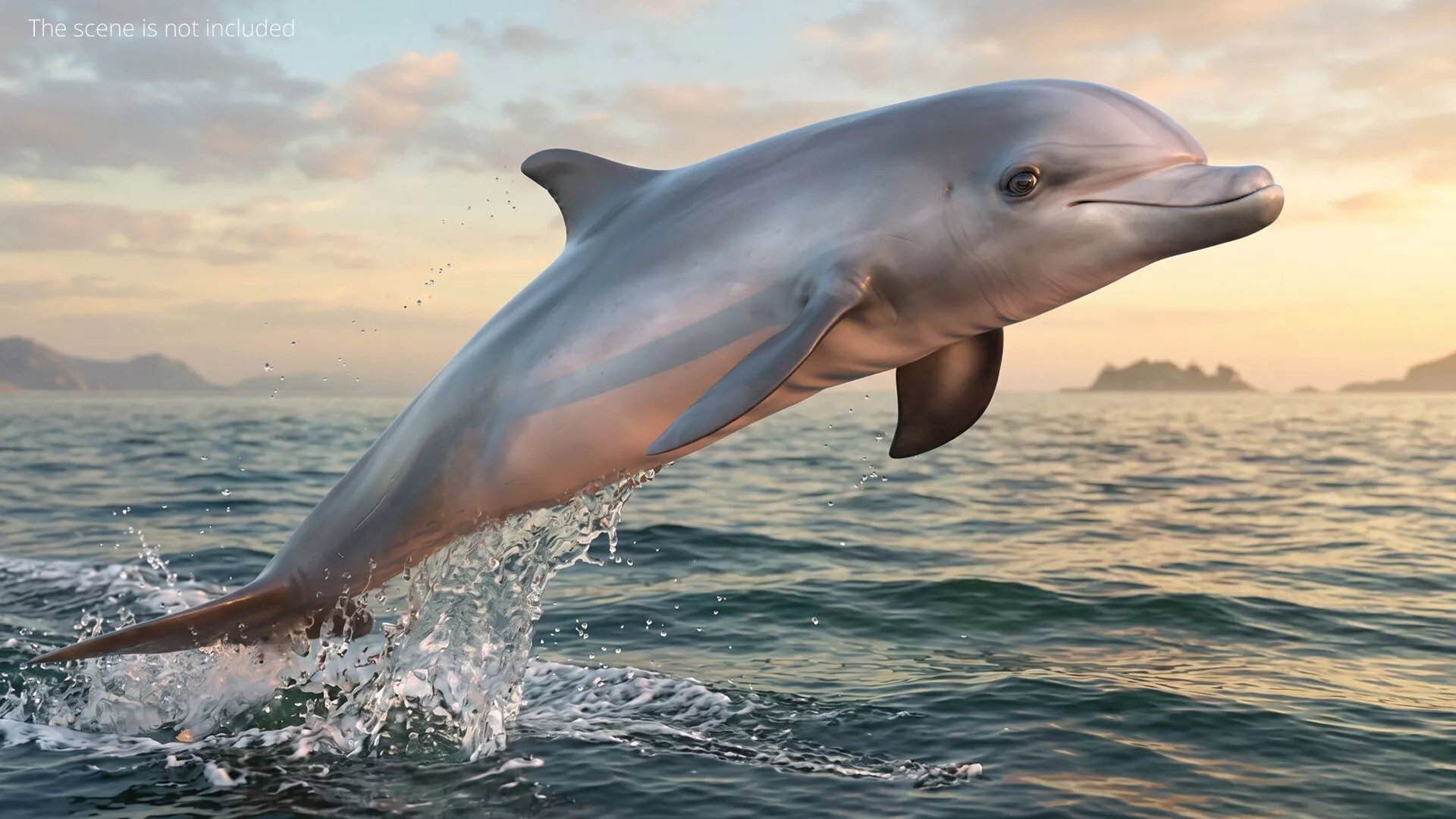 Aquatic Dolphin Jumping Animated Rigged For Blender 3D model