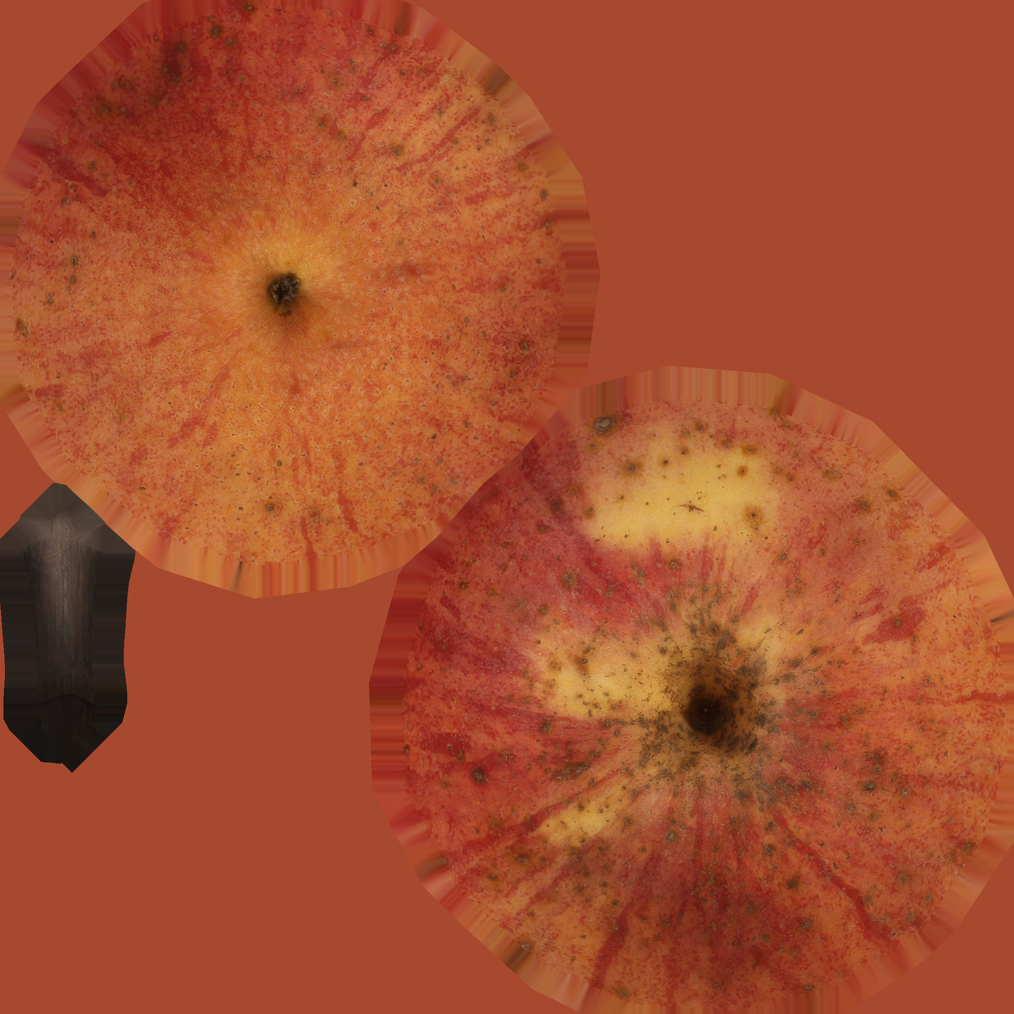 Red Apple Low-poly 3D model_5