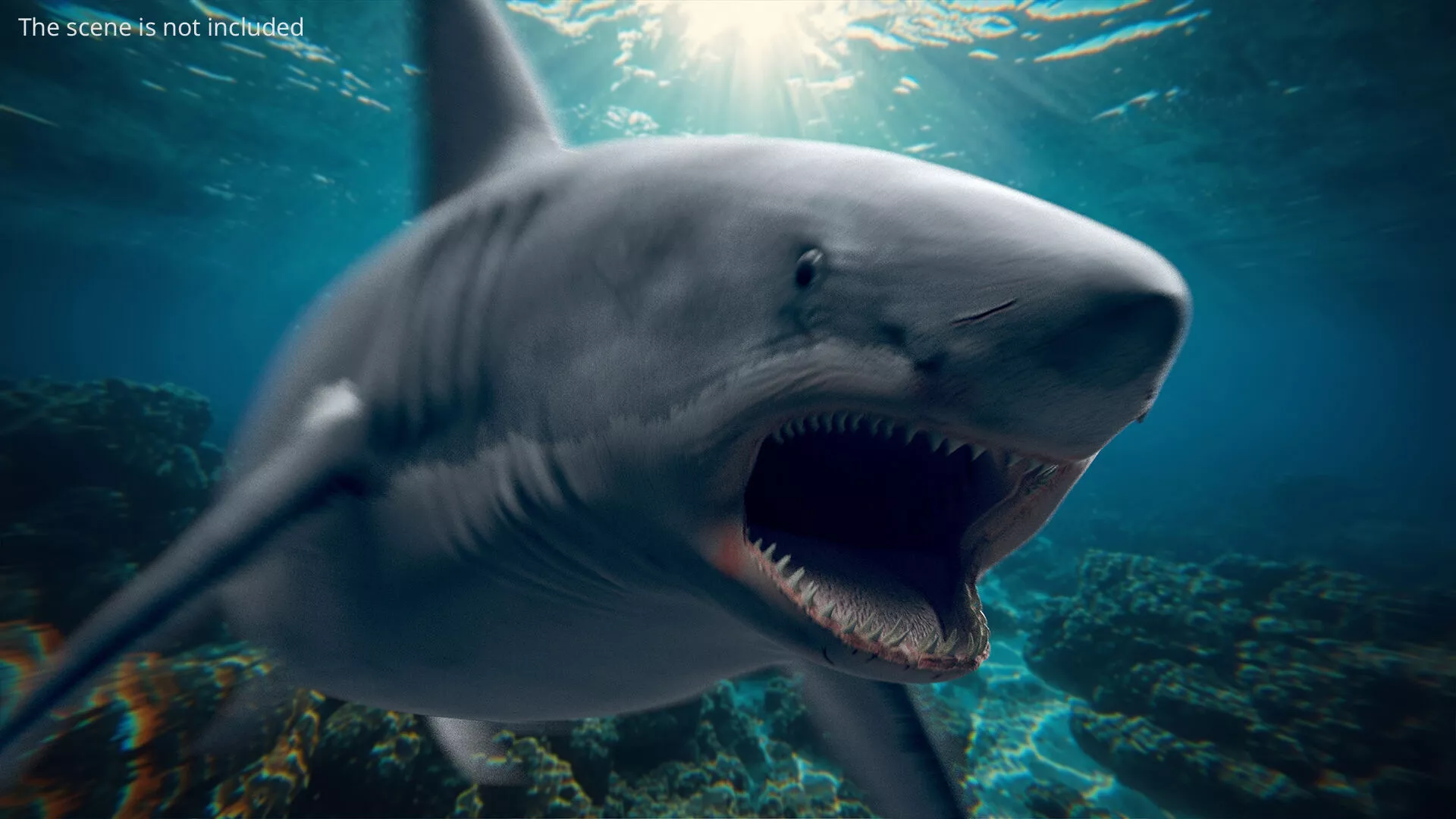 Great White Shark Set Animated Rigged For Maya 3D model