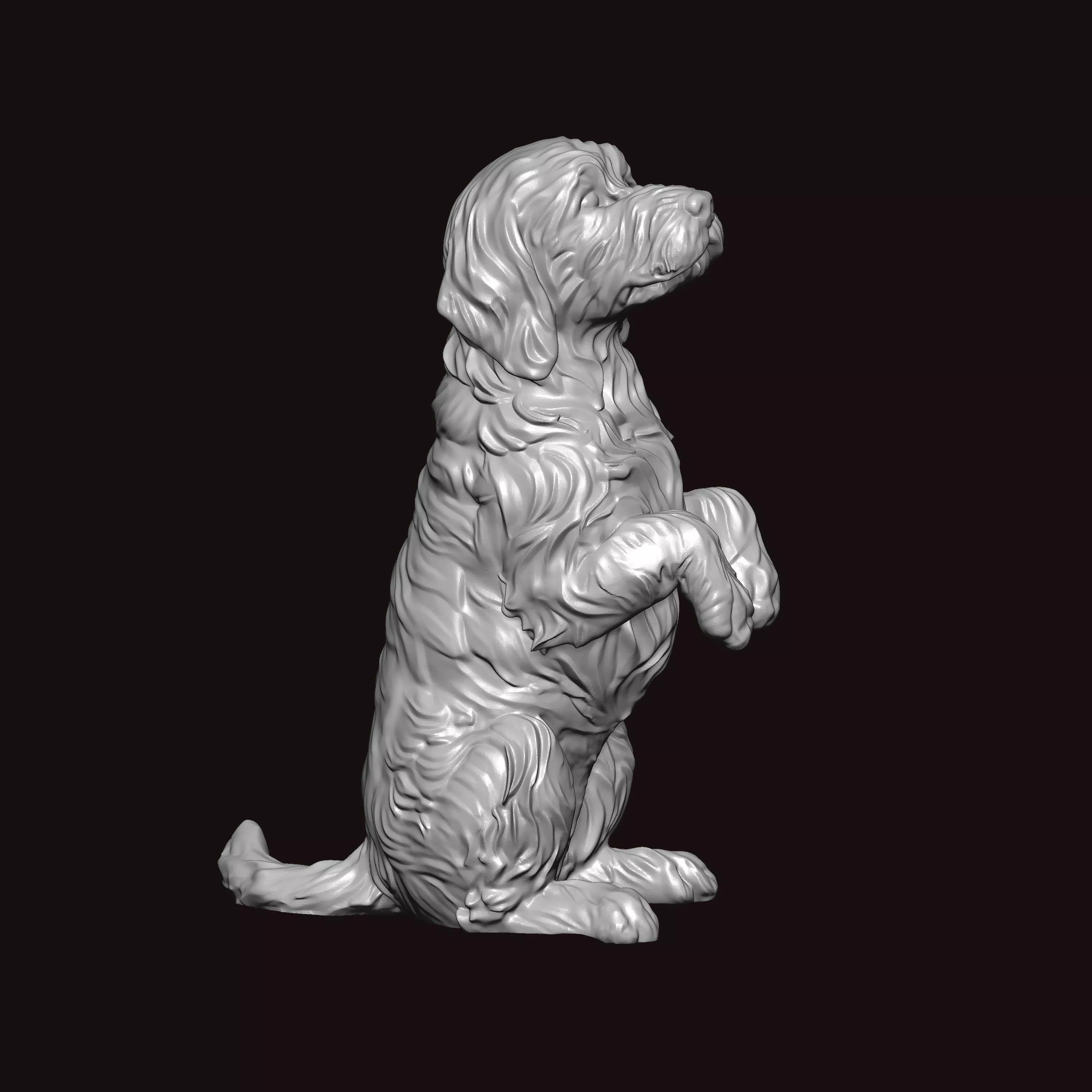 Portuguese Water Dog Begging 3D print model