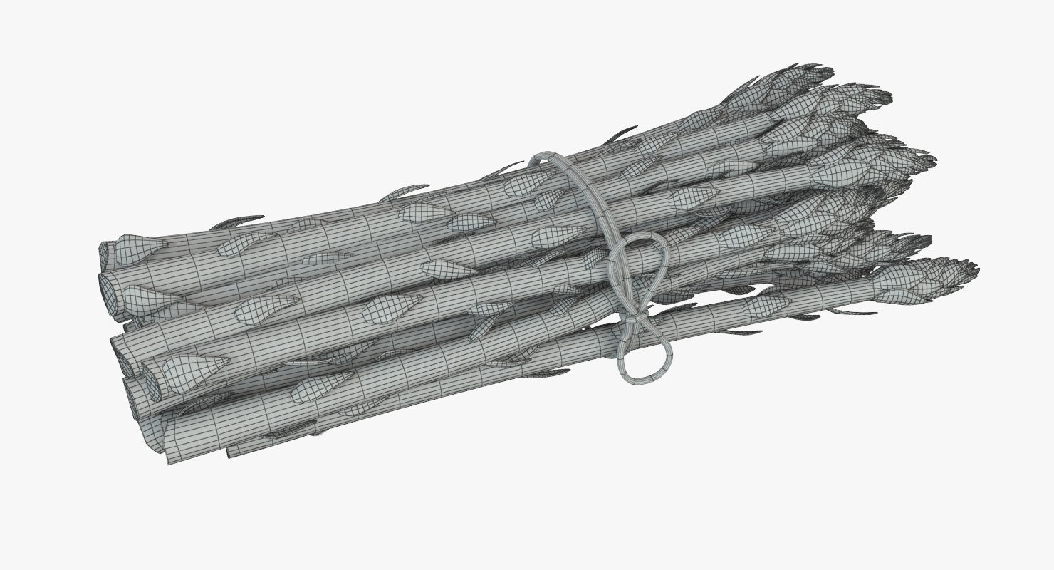 Detailed Asparagus 3D model_8