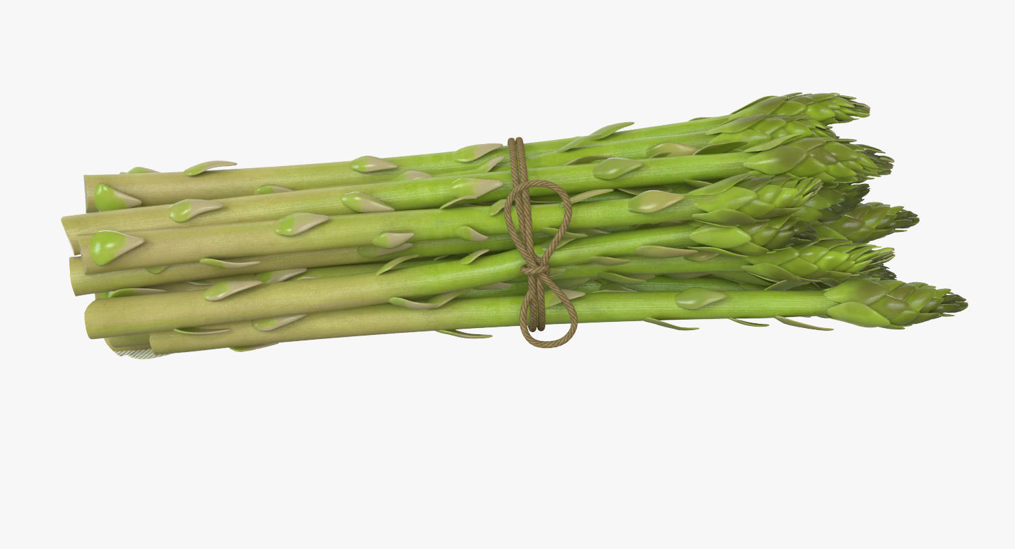 Detailed Asparagus 3D model_3