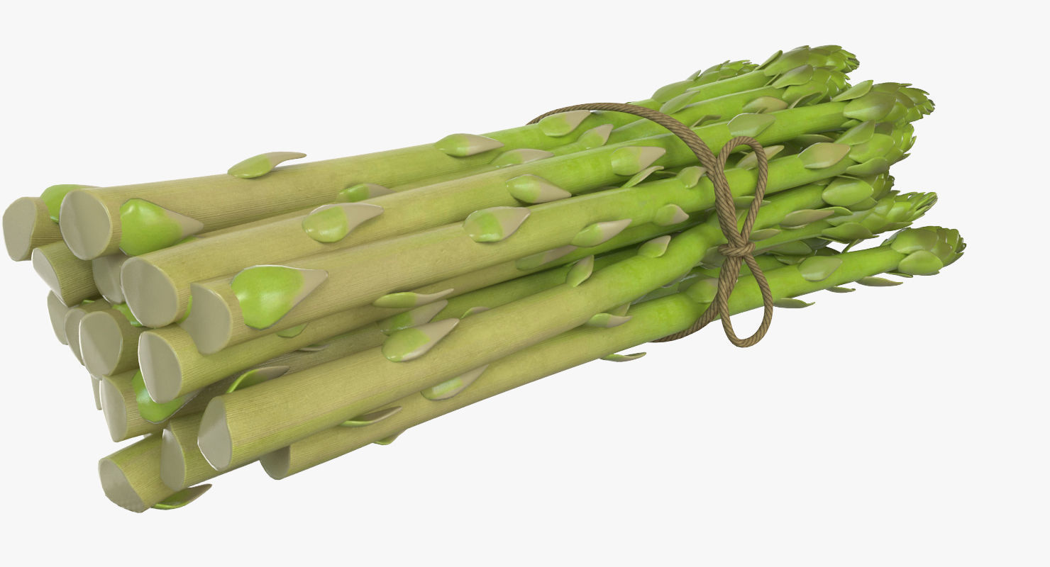 Detailed Asparagus 3D model_6
