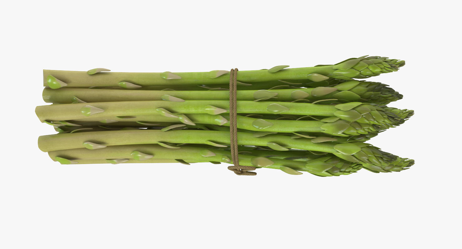 Detailed Asparagus 3D model_1