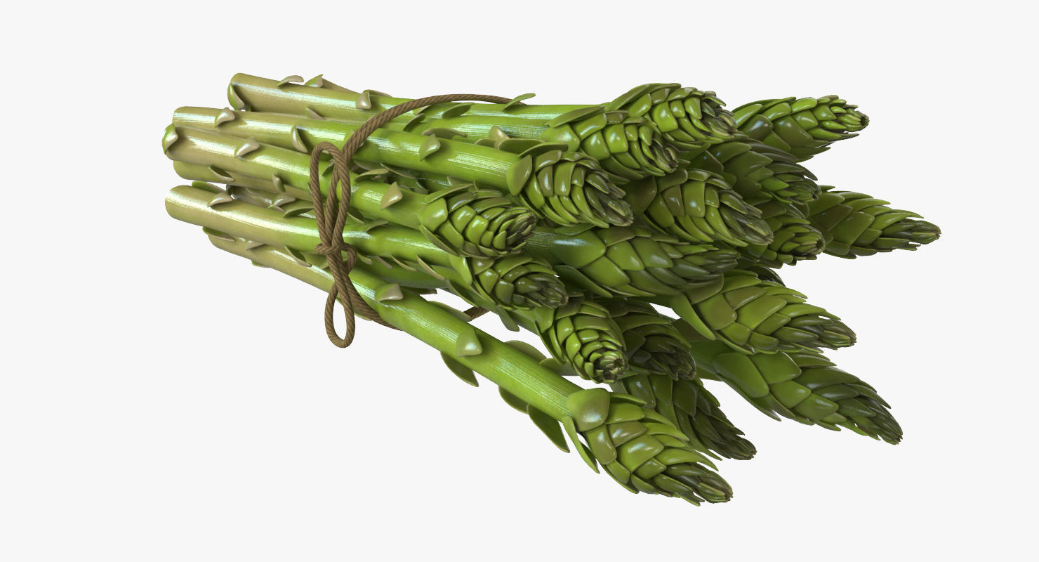 Detailed Asparagus 3D model_5