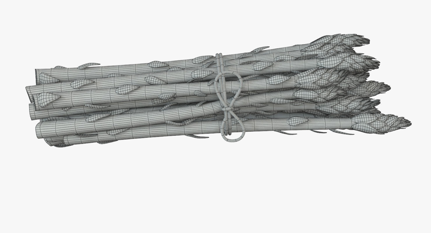 Detailed Asparagus 3D model_7