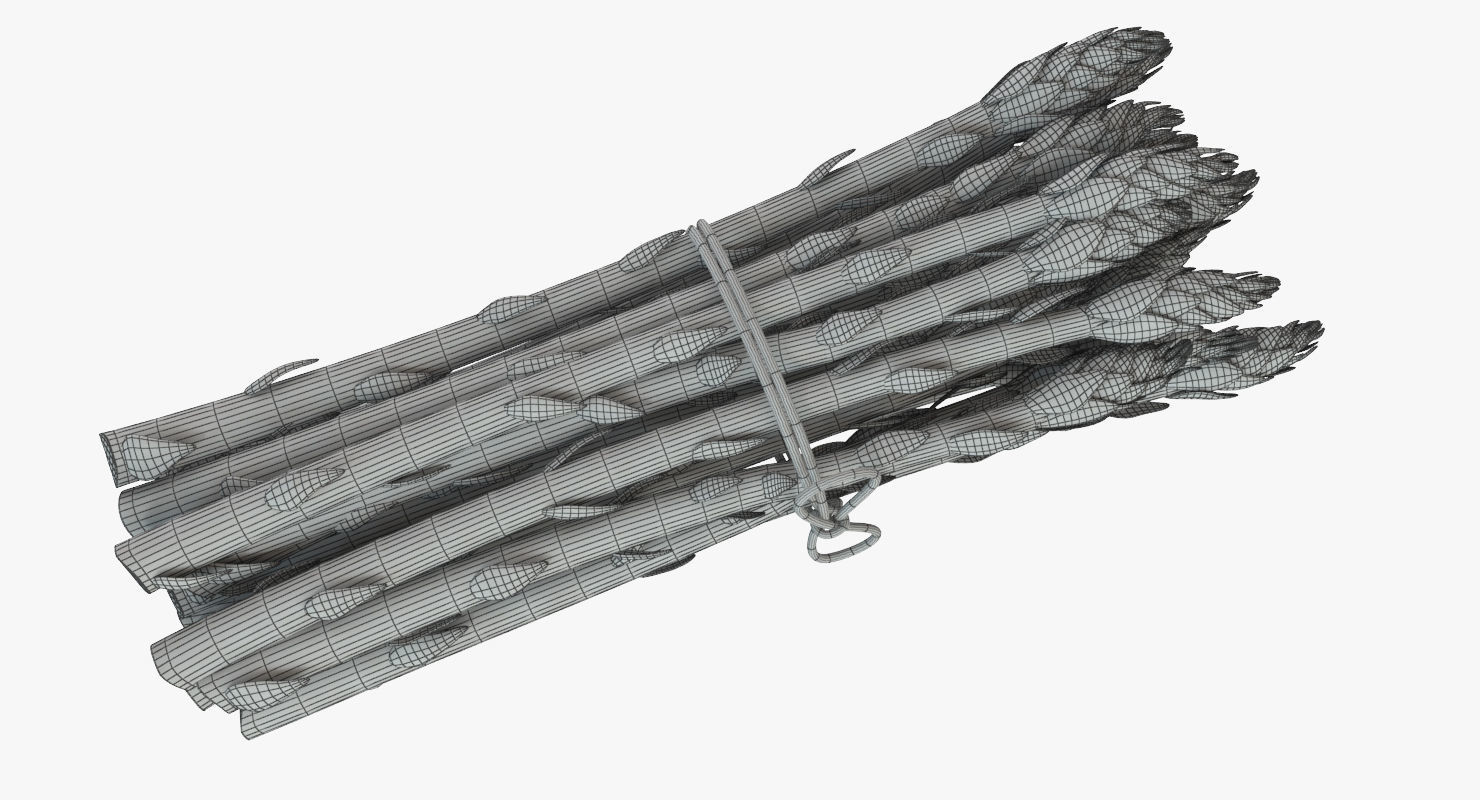 Detailed Asparagus 3D model_9