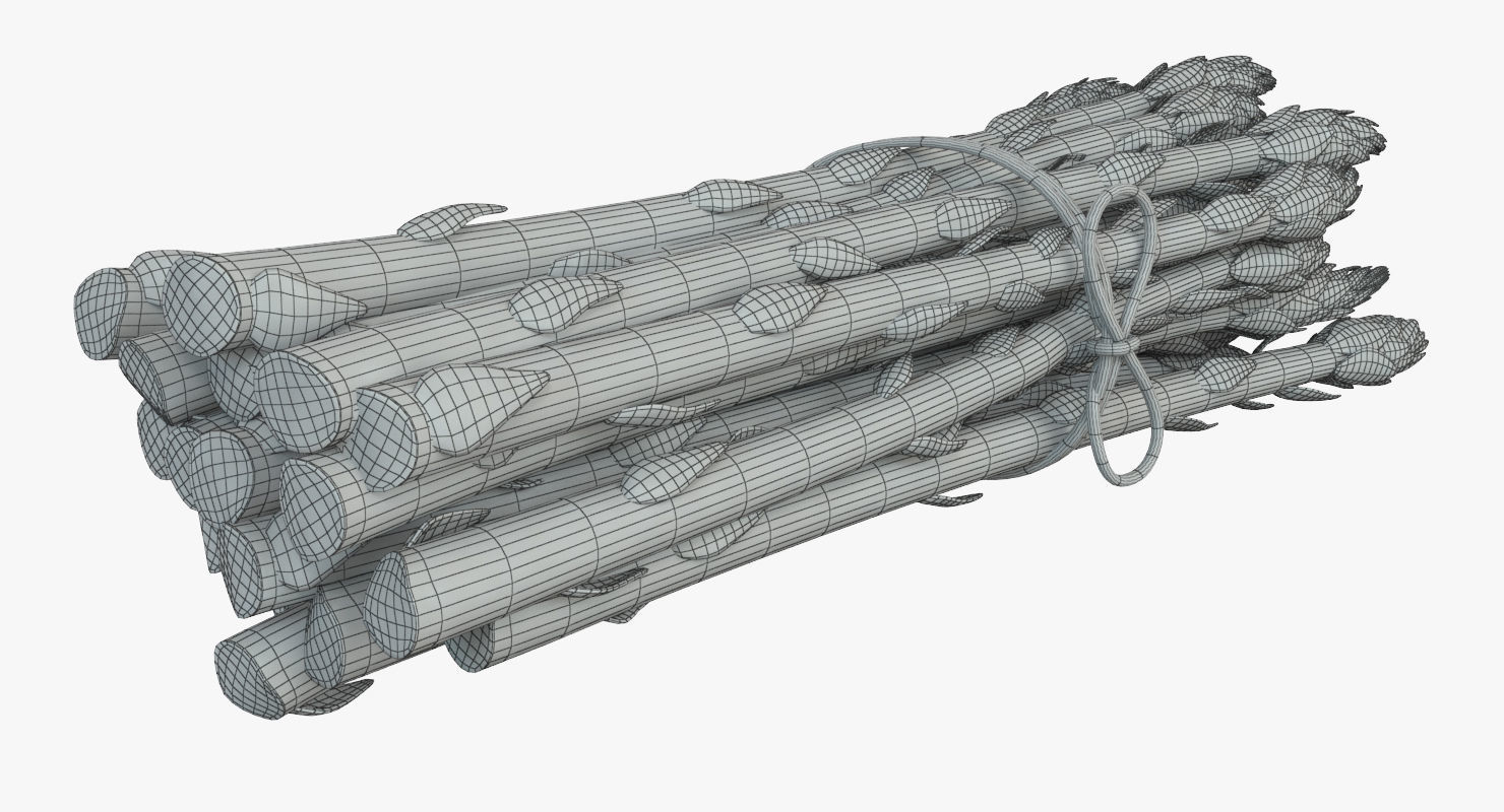 Detailed Asparagus 3D model_10