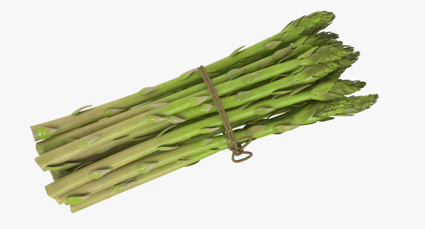 Detailed Asparagus 3D model_2