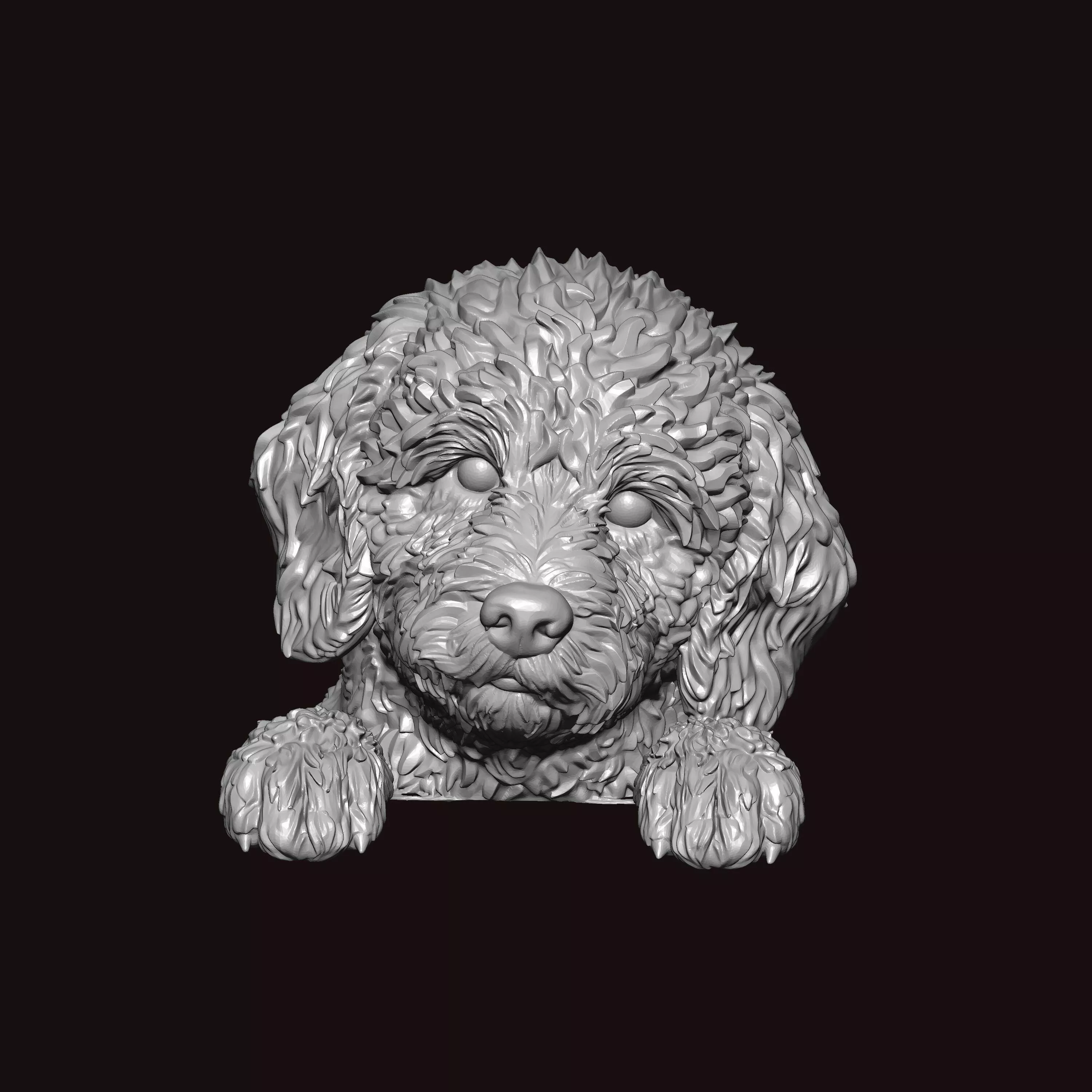 Portuguese Water Dog 3D print model