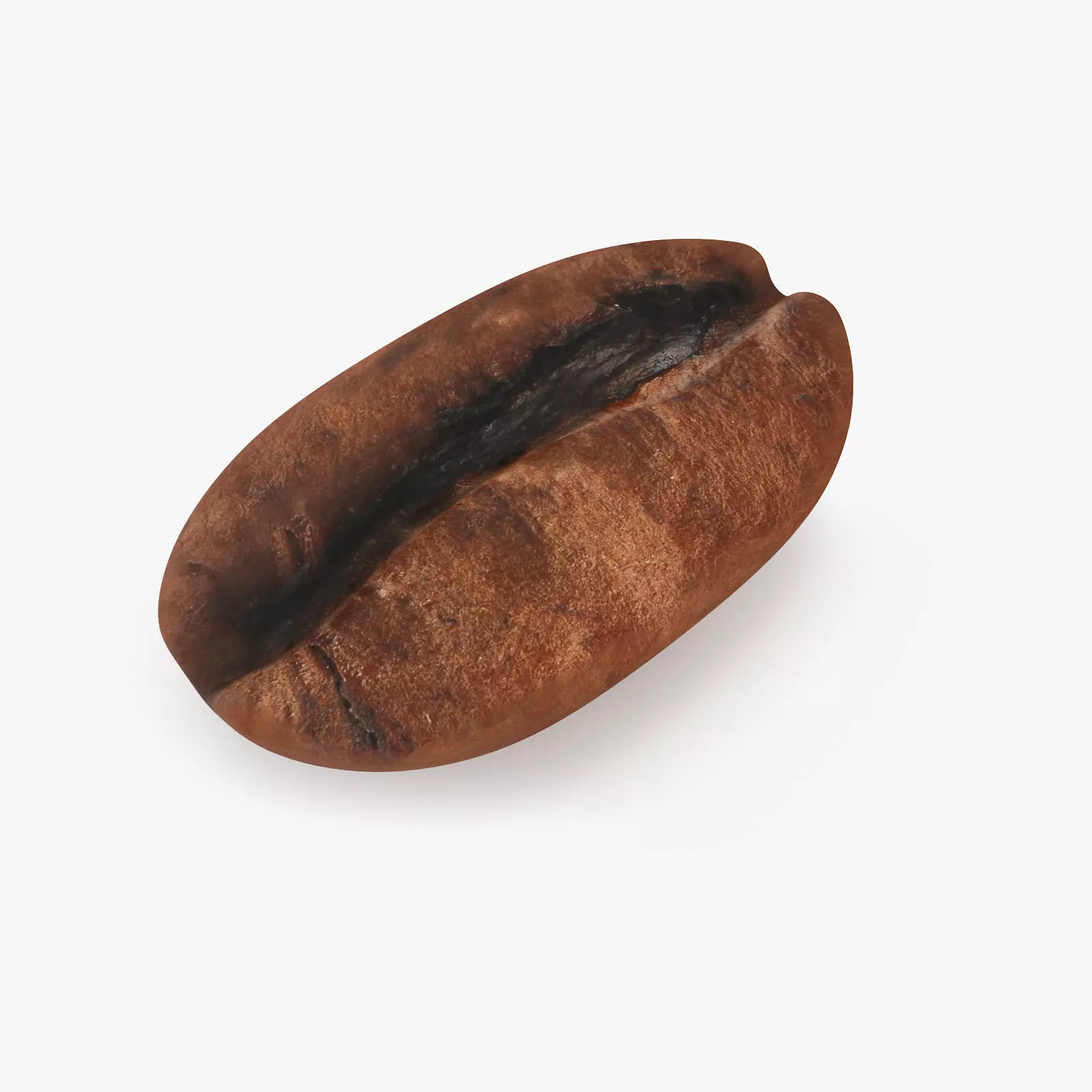 Coffee Bean 3D model