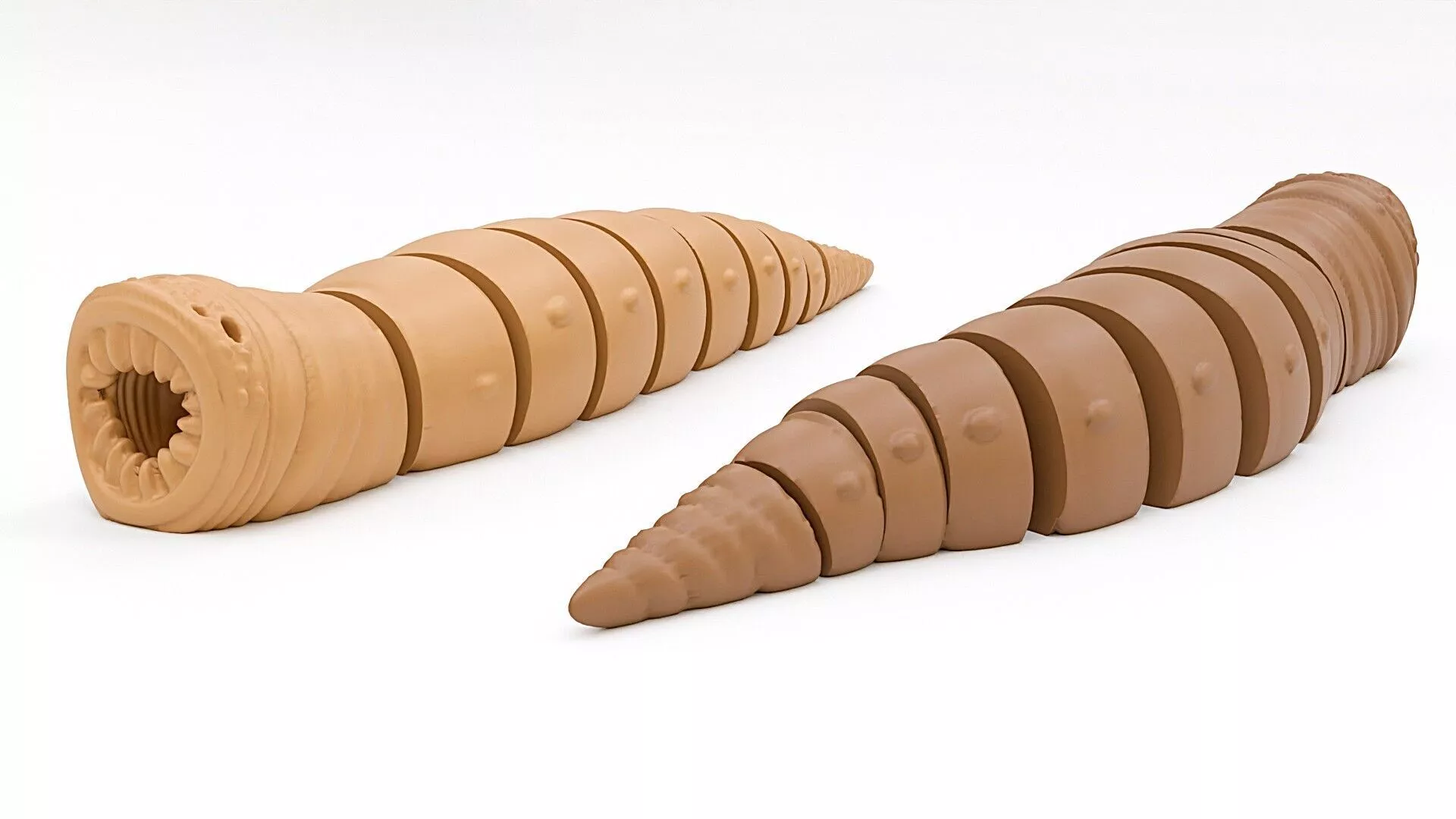 Sandworm Flexi Toy 3D print model